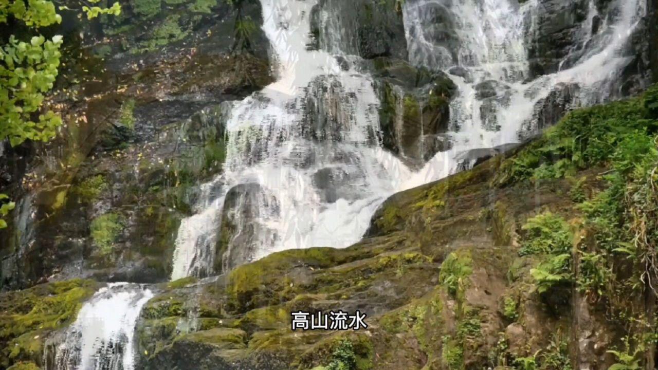 甲流和乙流会同时感染